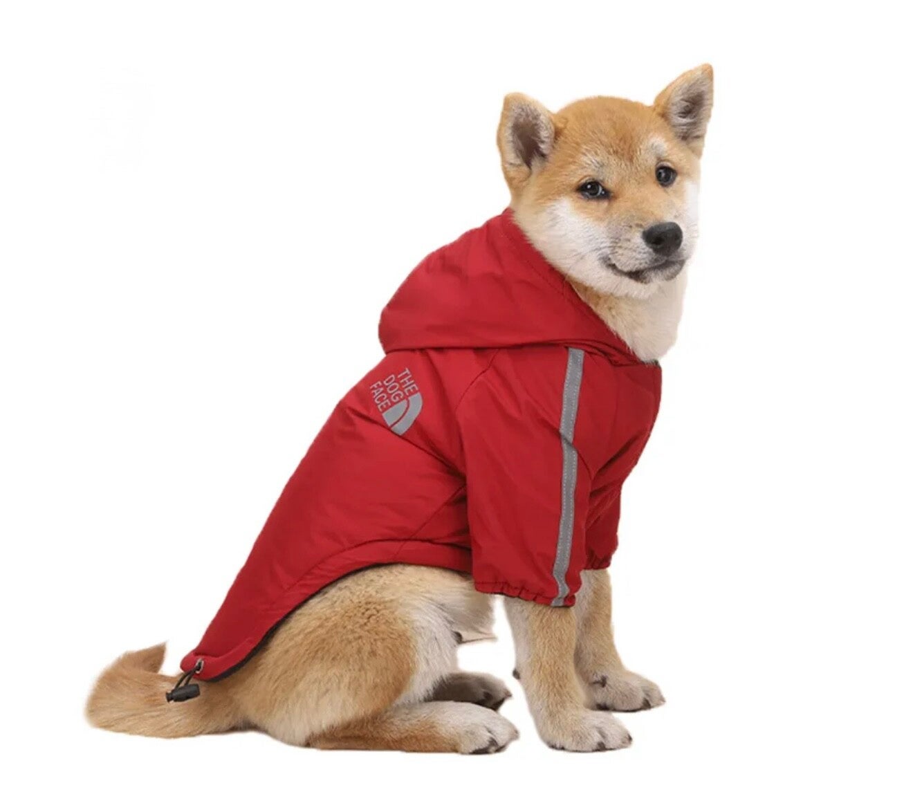 The Dog Face Rain Jacket