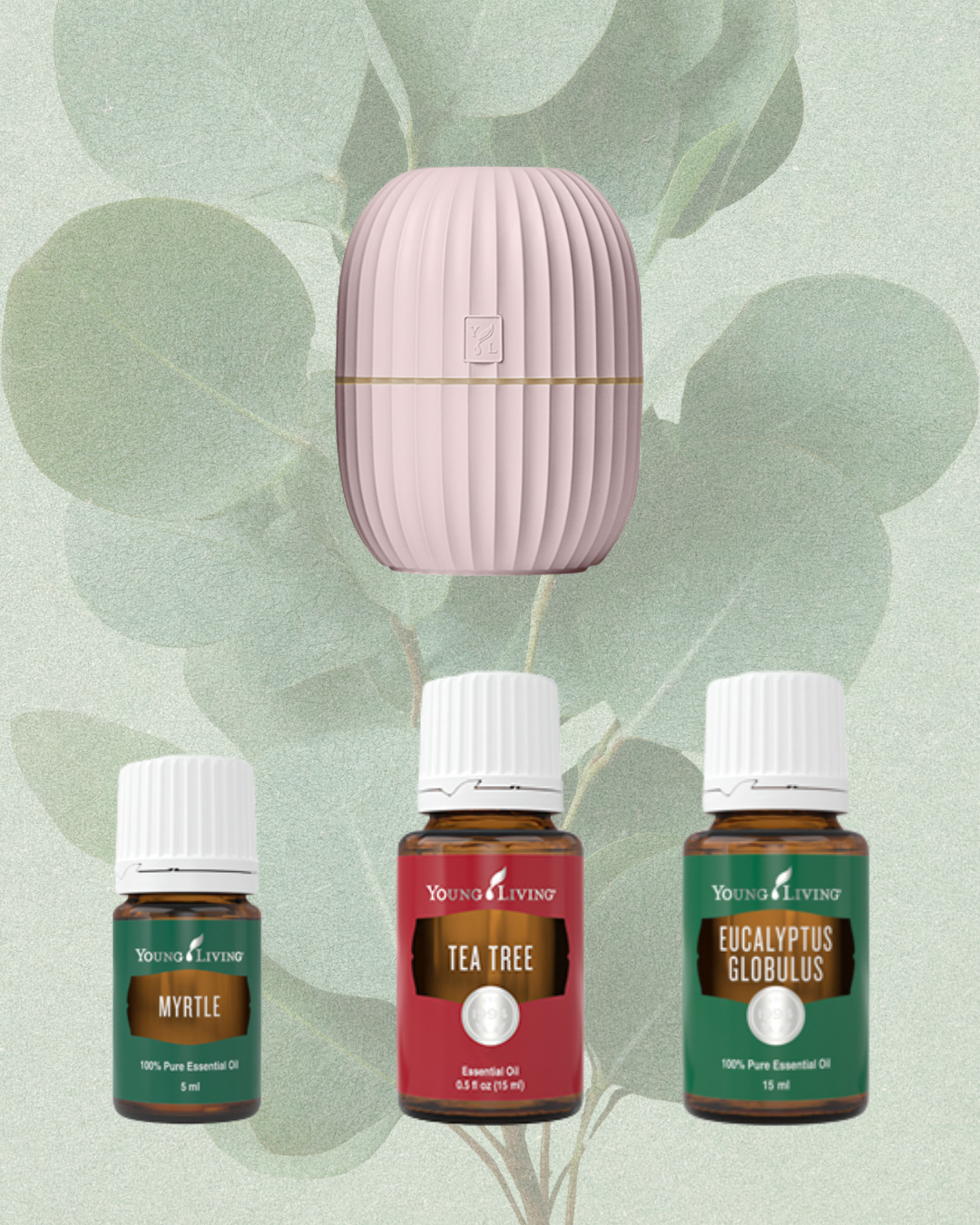 Blad Starkterkit Pink: Verbinding. Ademruimte. Balans.