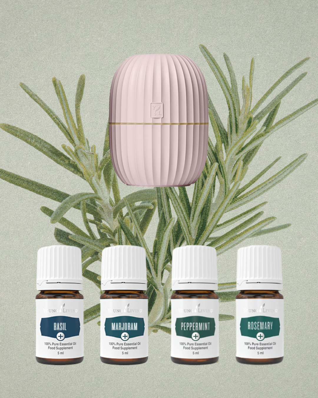 Kruid Starter Kit Pink: Kracht. Helderheid. Bescherming.