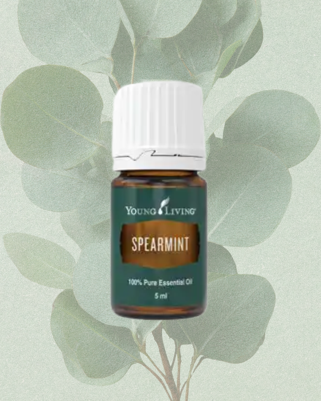 Spearmint 5ml