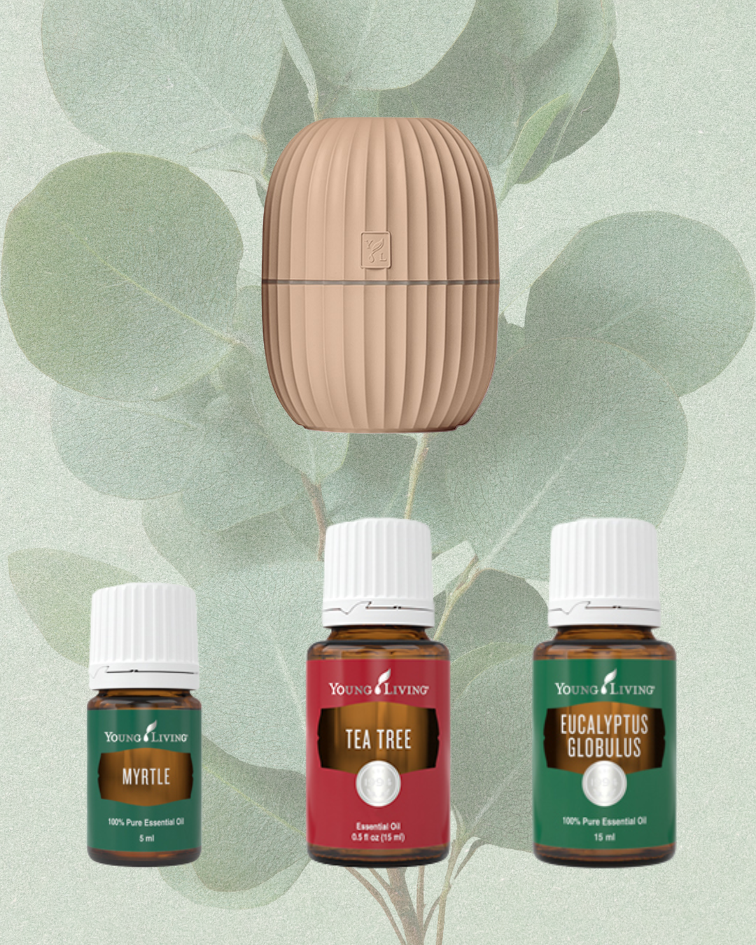 Blad Starter Kit Beige: Fris, helder en luchtig