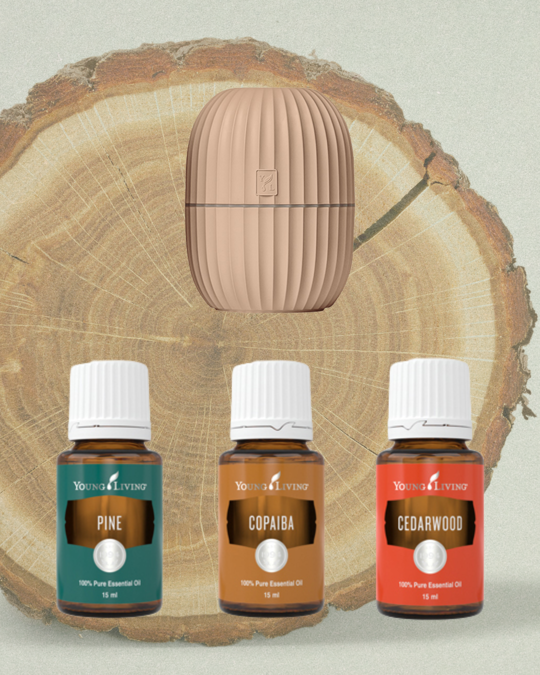 Hout Starkterkit Beige: Stabiliteit. Diepte. Vertrouwen.