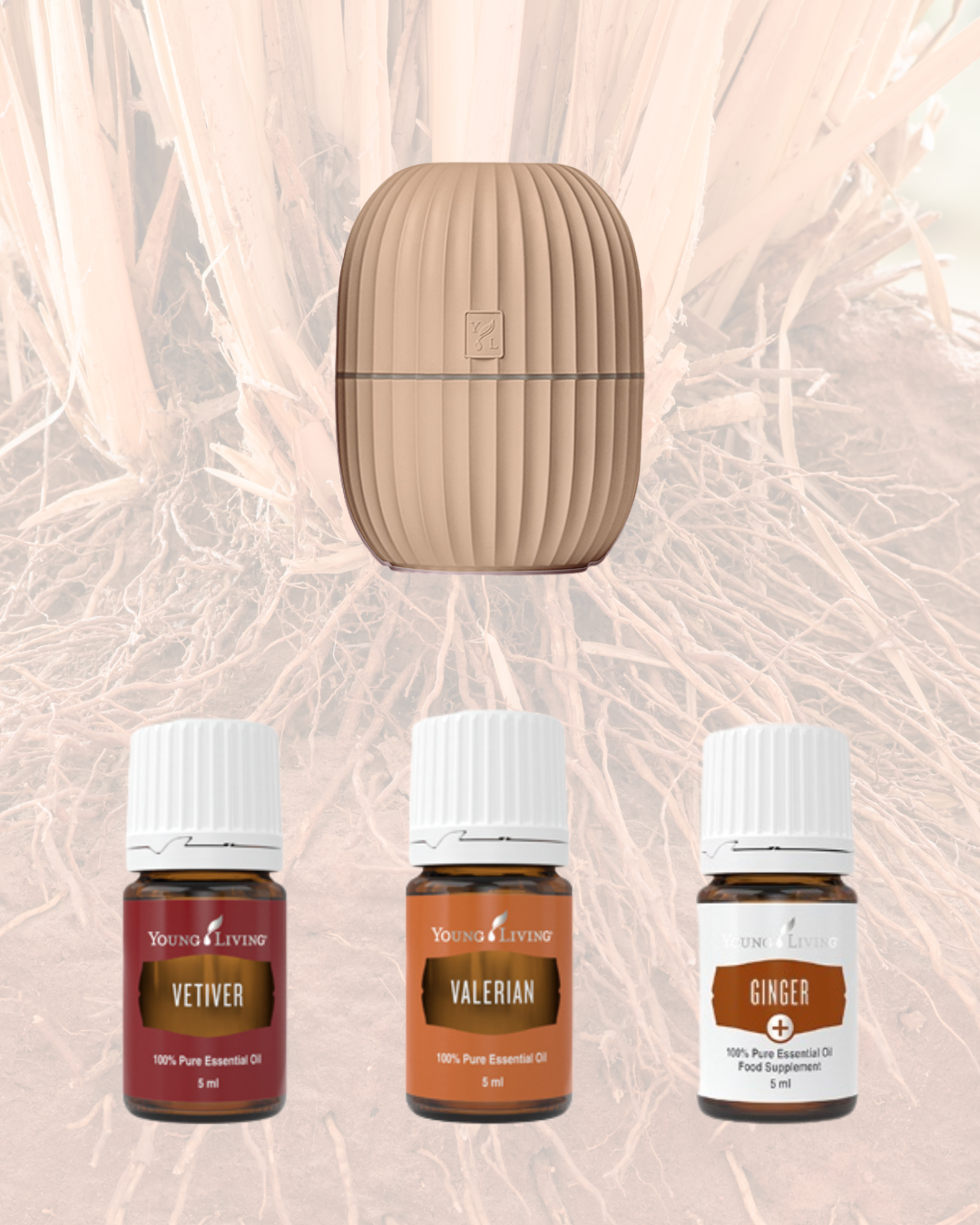 Wortel Starter Kit Beige: Diepgang. Reflectie. Innerlijk werk.