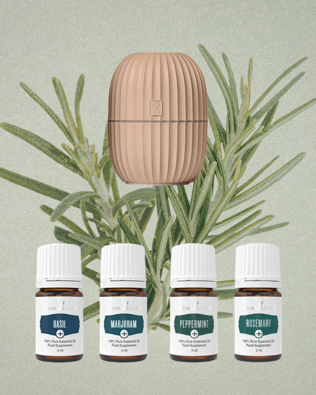 Kruid Starter Kit Beige: Kracht. Helderheid. Bescherming.