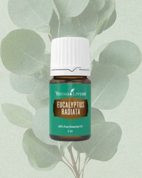 Eucalyptus Radiata 5ml