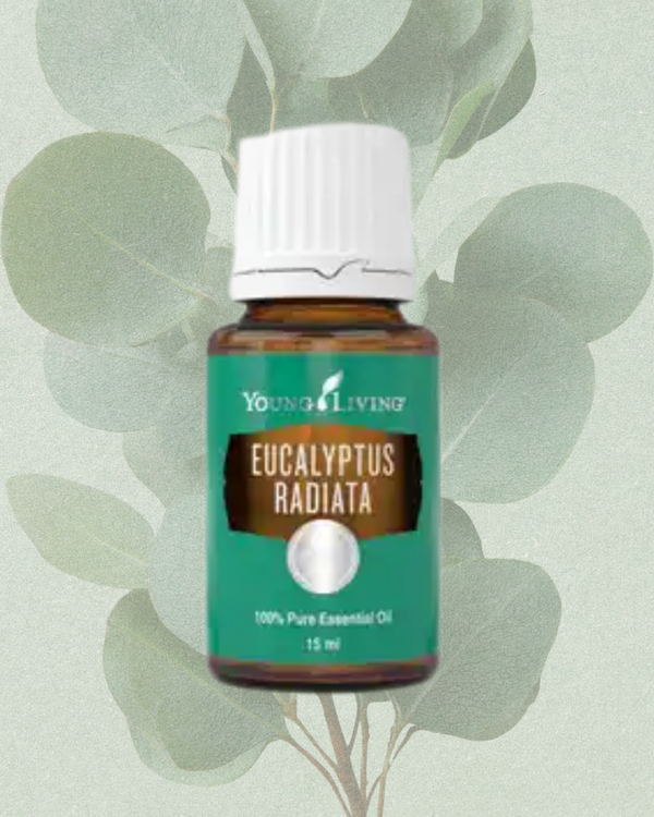 Eucalyptus Radiata 15ml
