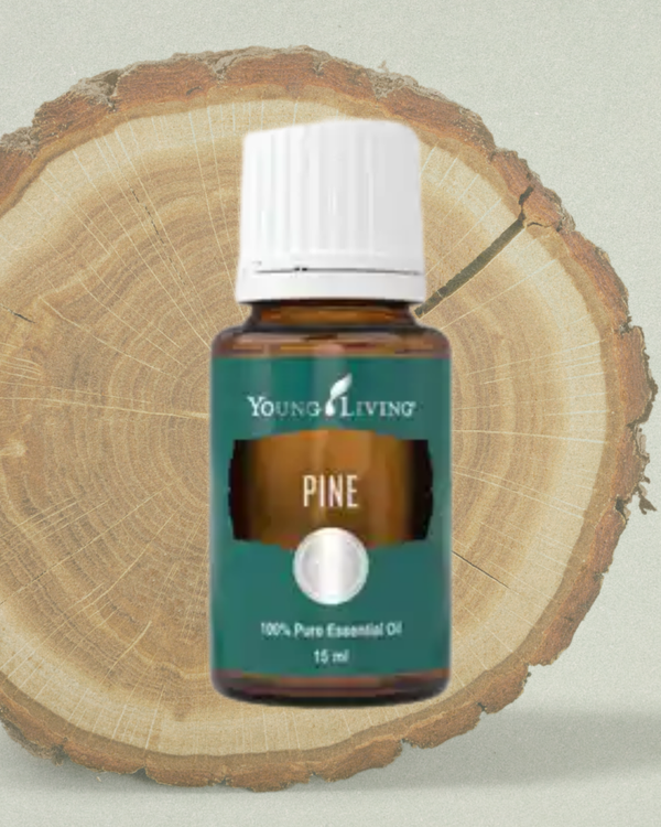 Pine 15ml
