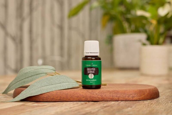 Eucalyptus Globus 15ml