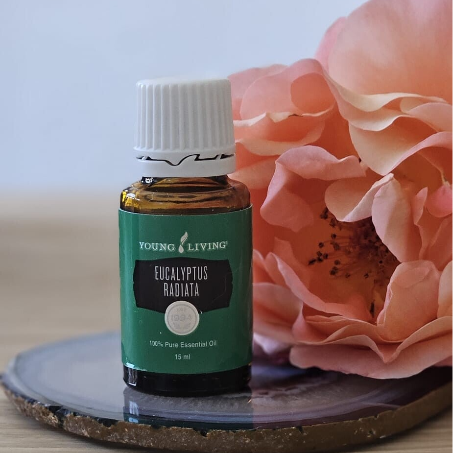 Eucalyptus Radiata (15ml)