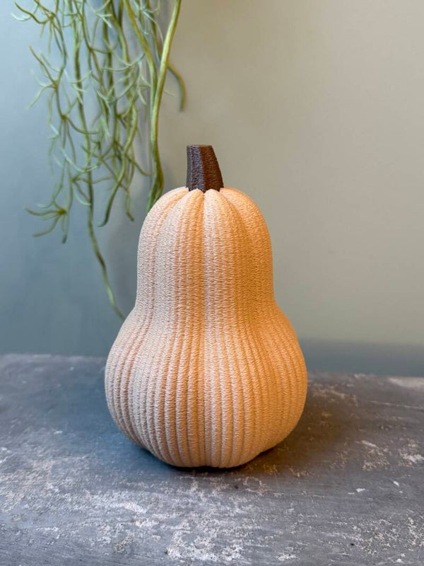 Butternut Pompoen