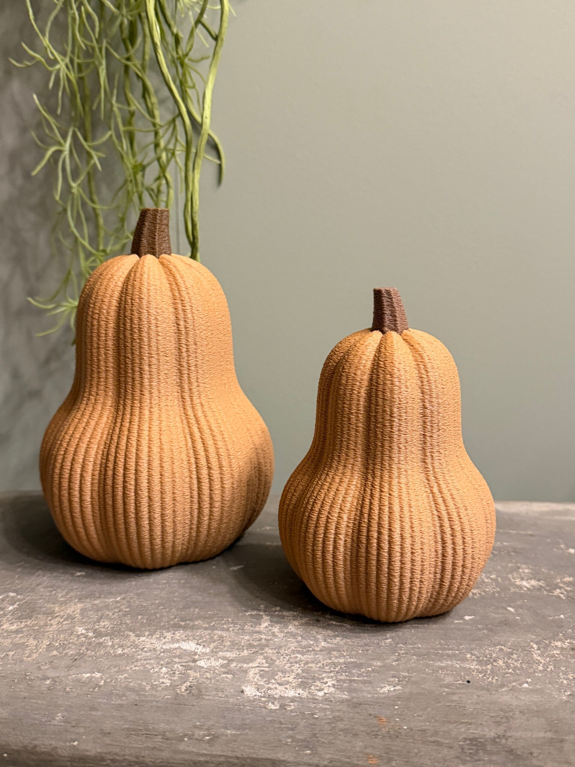 Butternut Pompoen