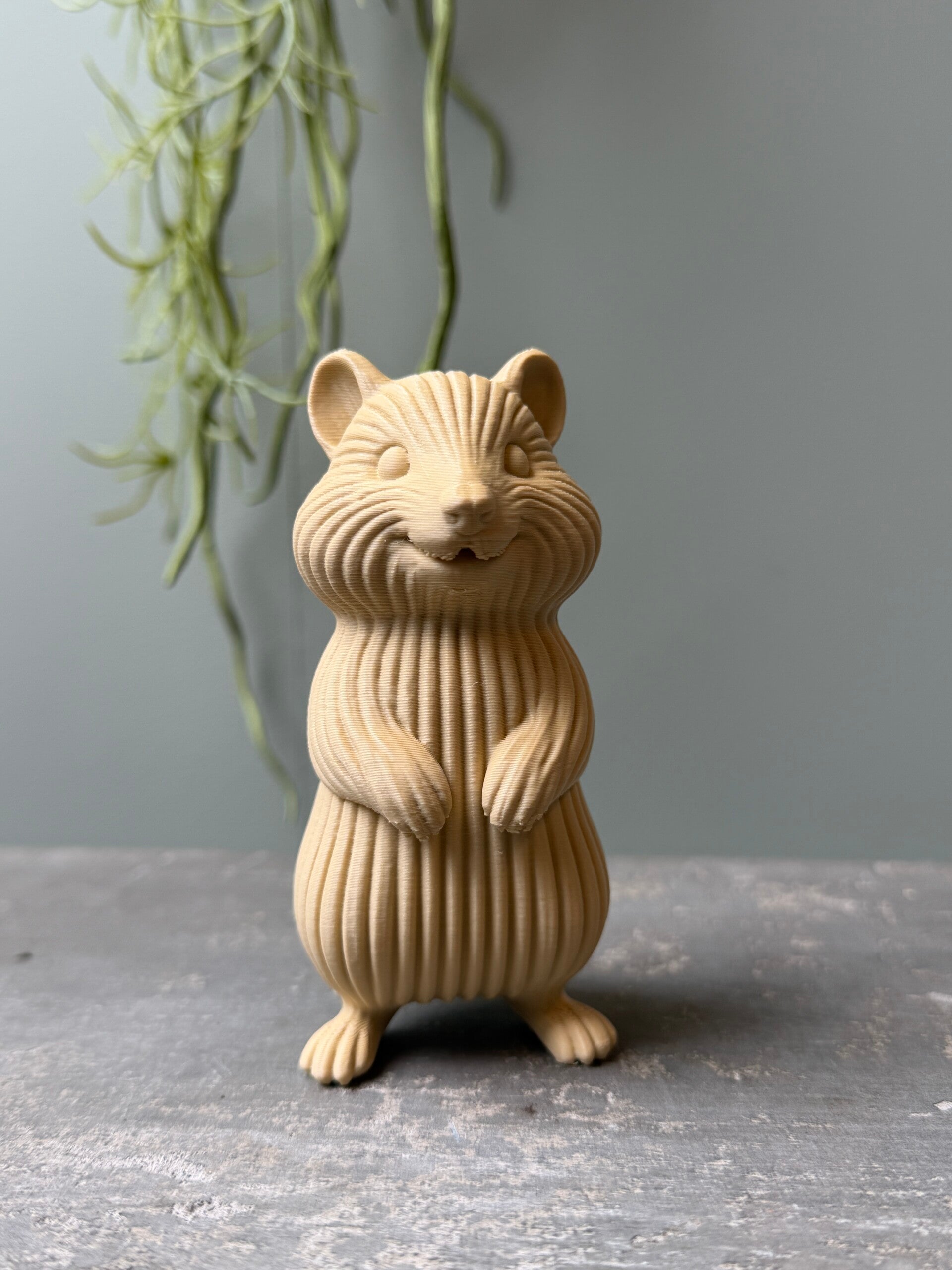 Japandi Hamster