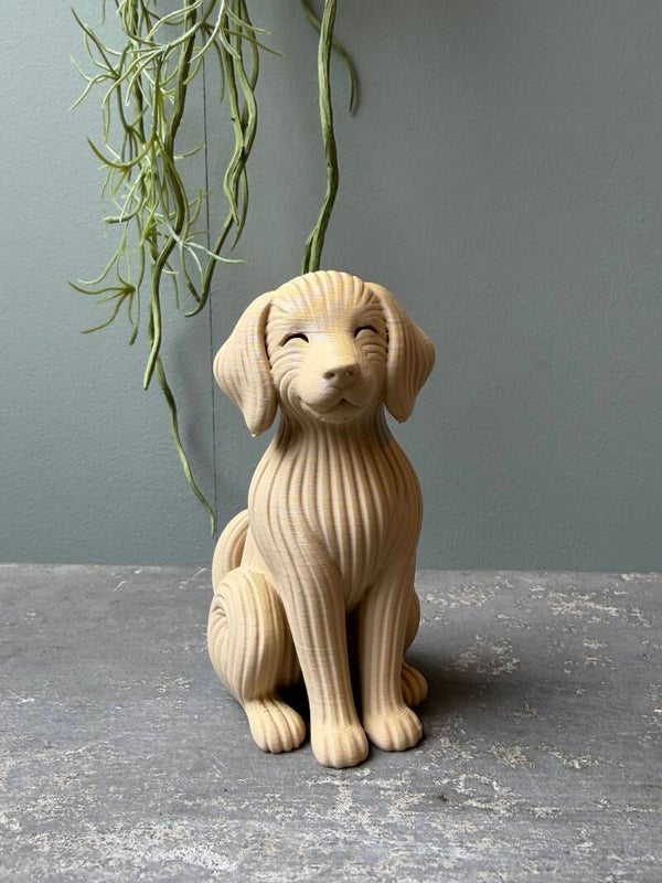 Japandi Hond