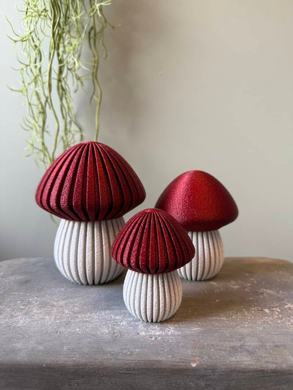 Paddestoelen