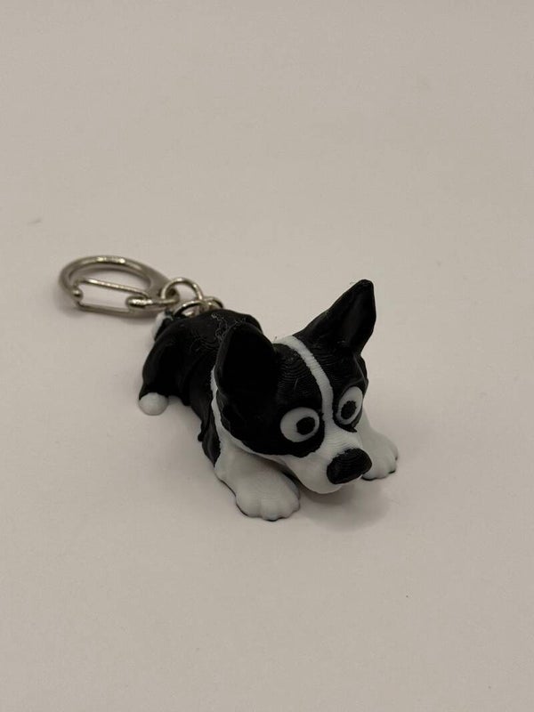 Hond "border collie"