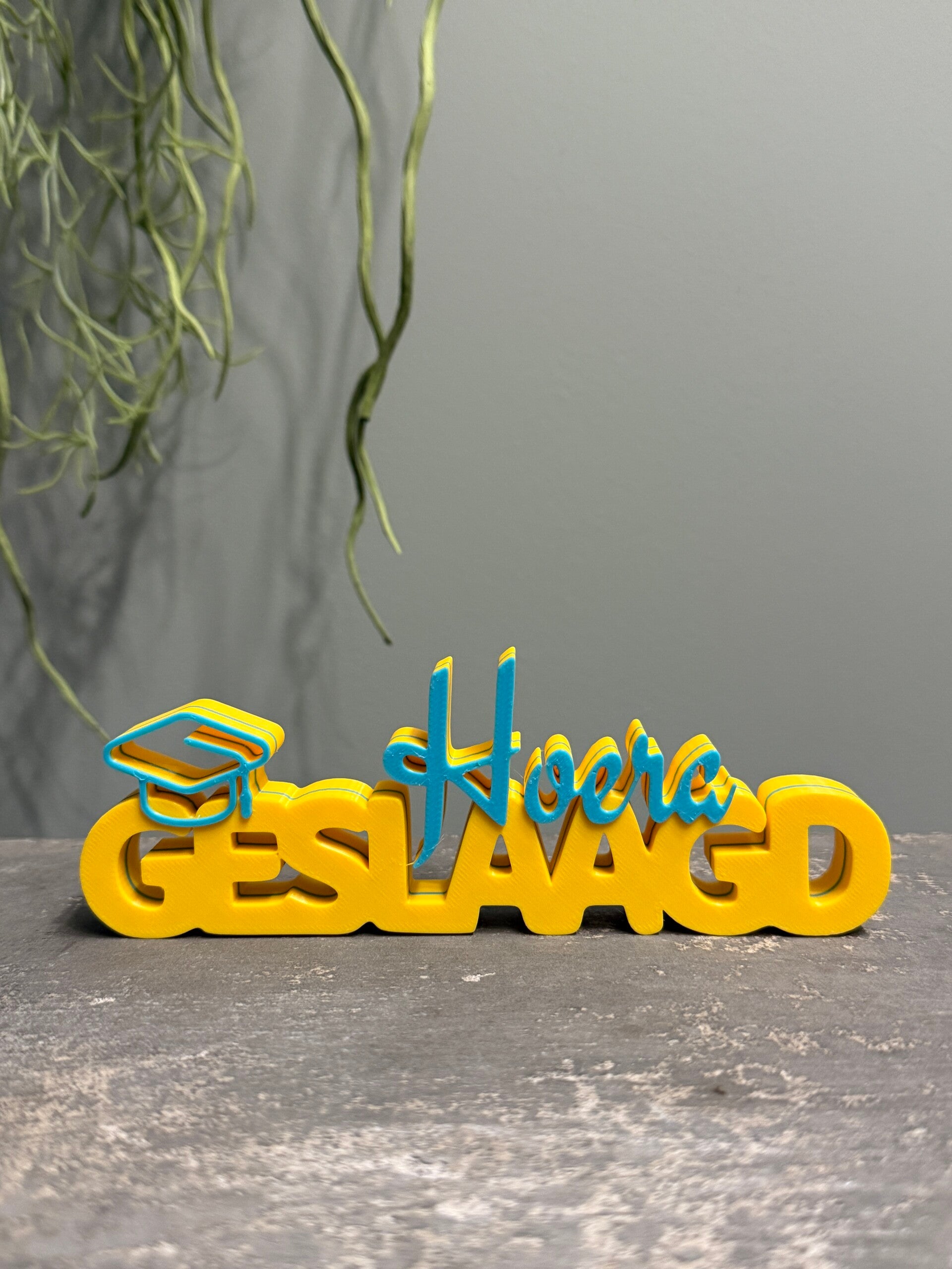 "Hoera geslaagd" Word art