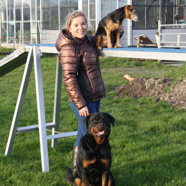 Behendigheid beginners