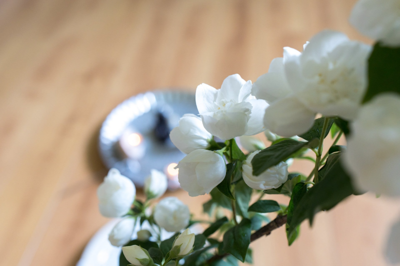 Personal Branding fotoshoot van Aikham. Aikham is een yoga docent. Foto's zijn gemaakt door fotograaf Sandra van Fotobijsan uit Gemert.