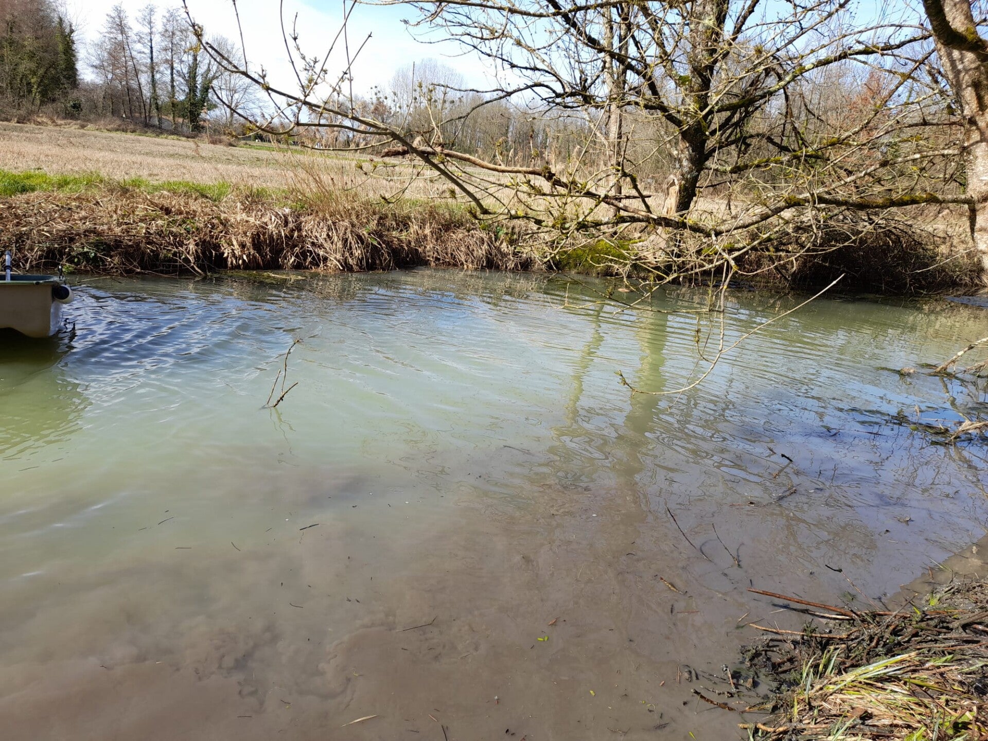 Nettoyage bords de rivière