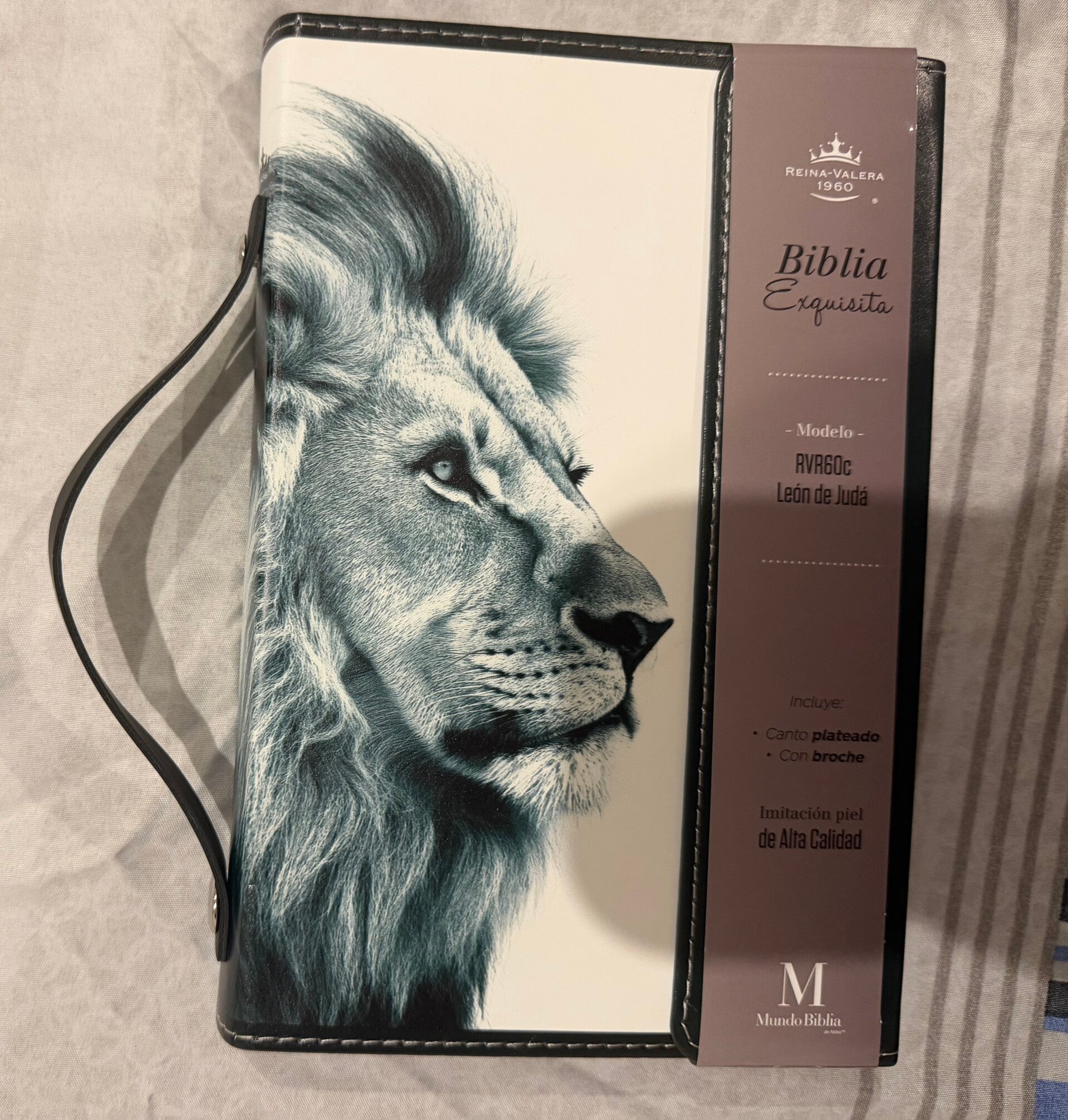 Biblia Maletín RV60