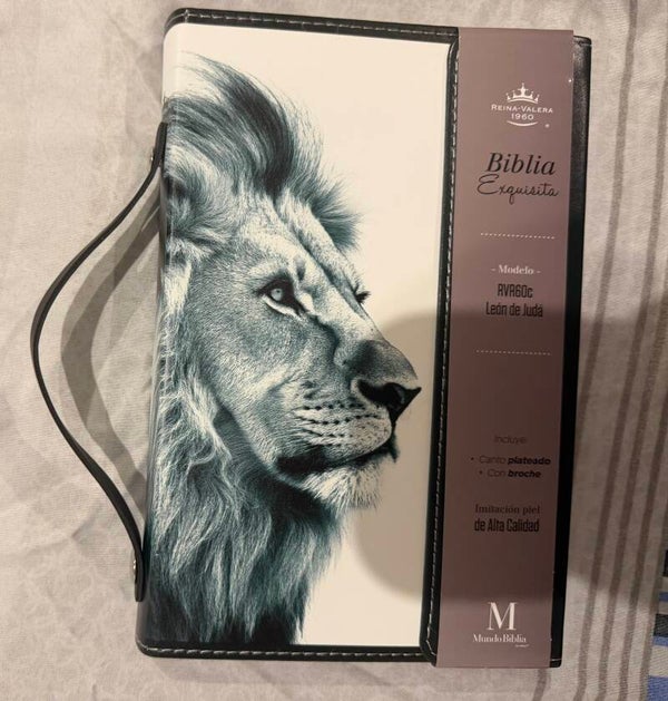 Biblia Maletín RV60
