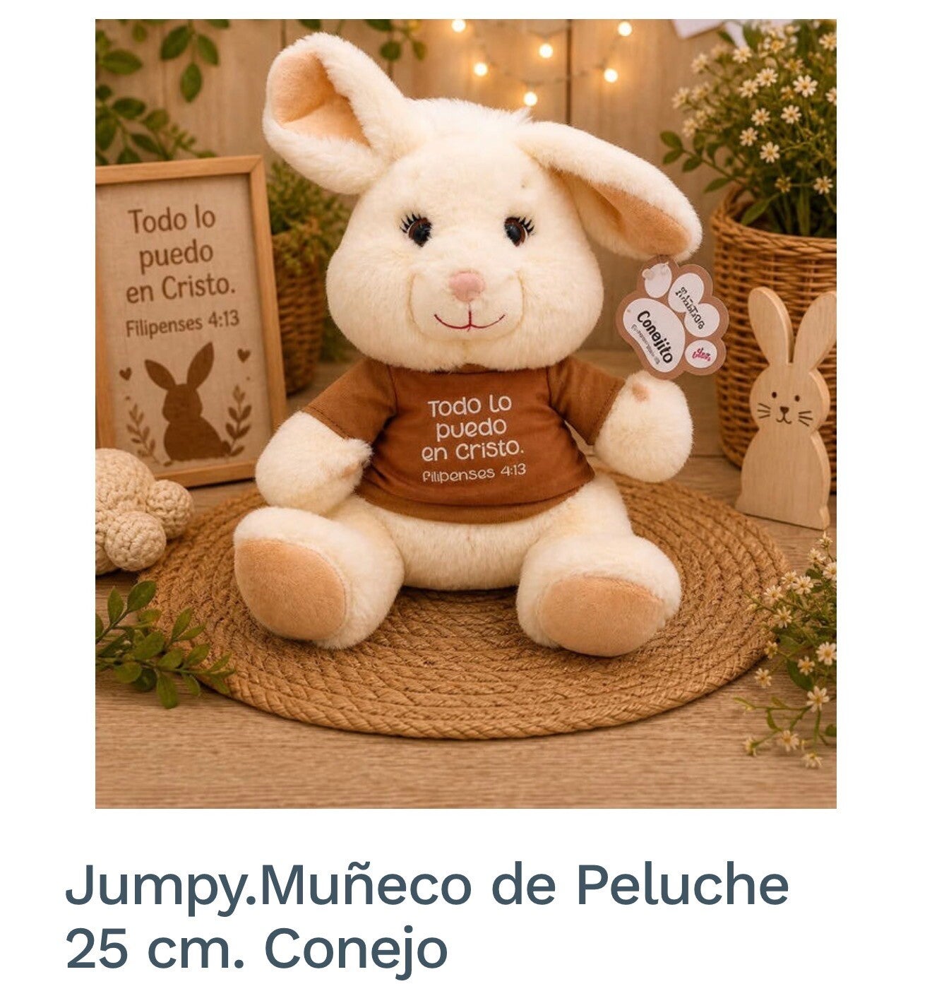 Peluche Conejo