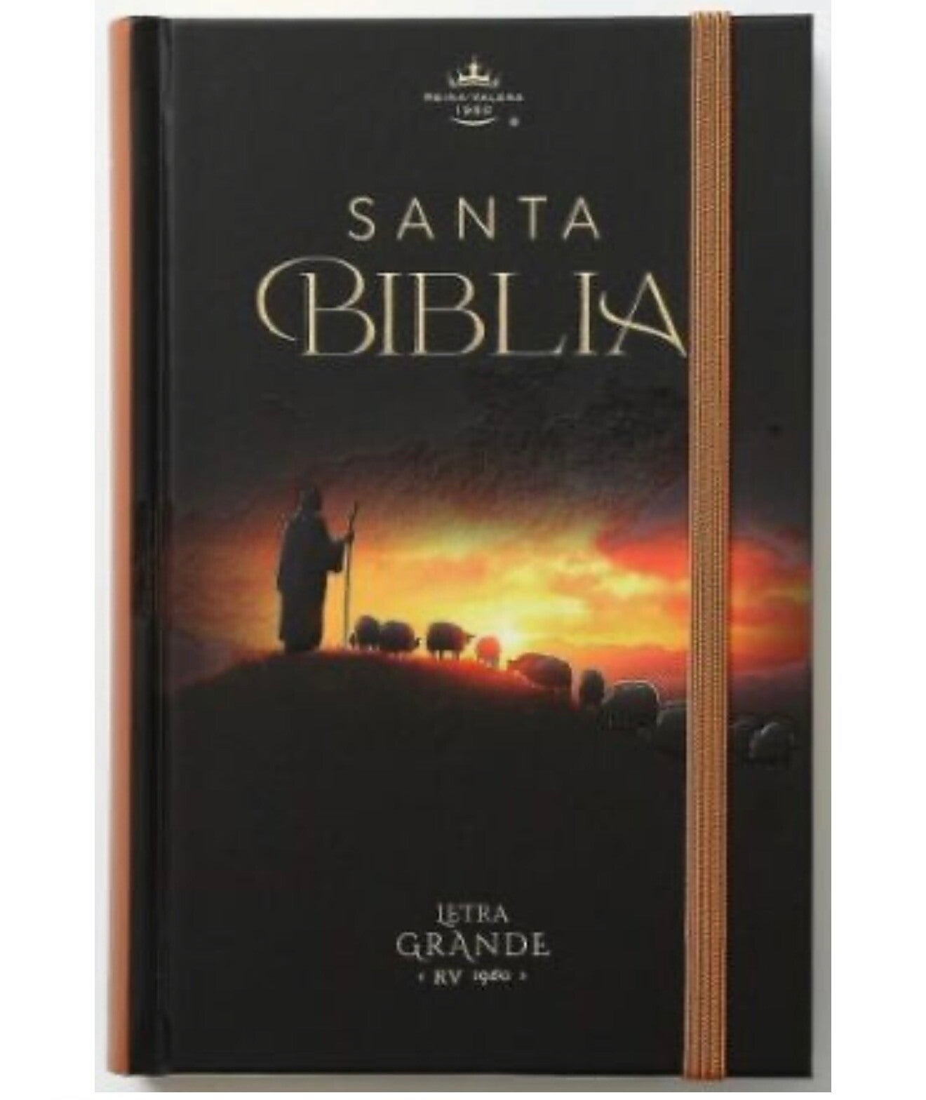 Biblia RV60 El buen pastor