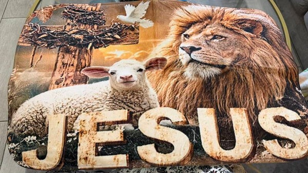 Felpudos