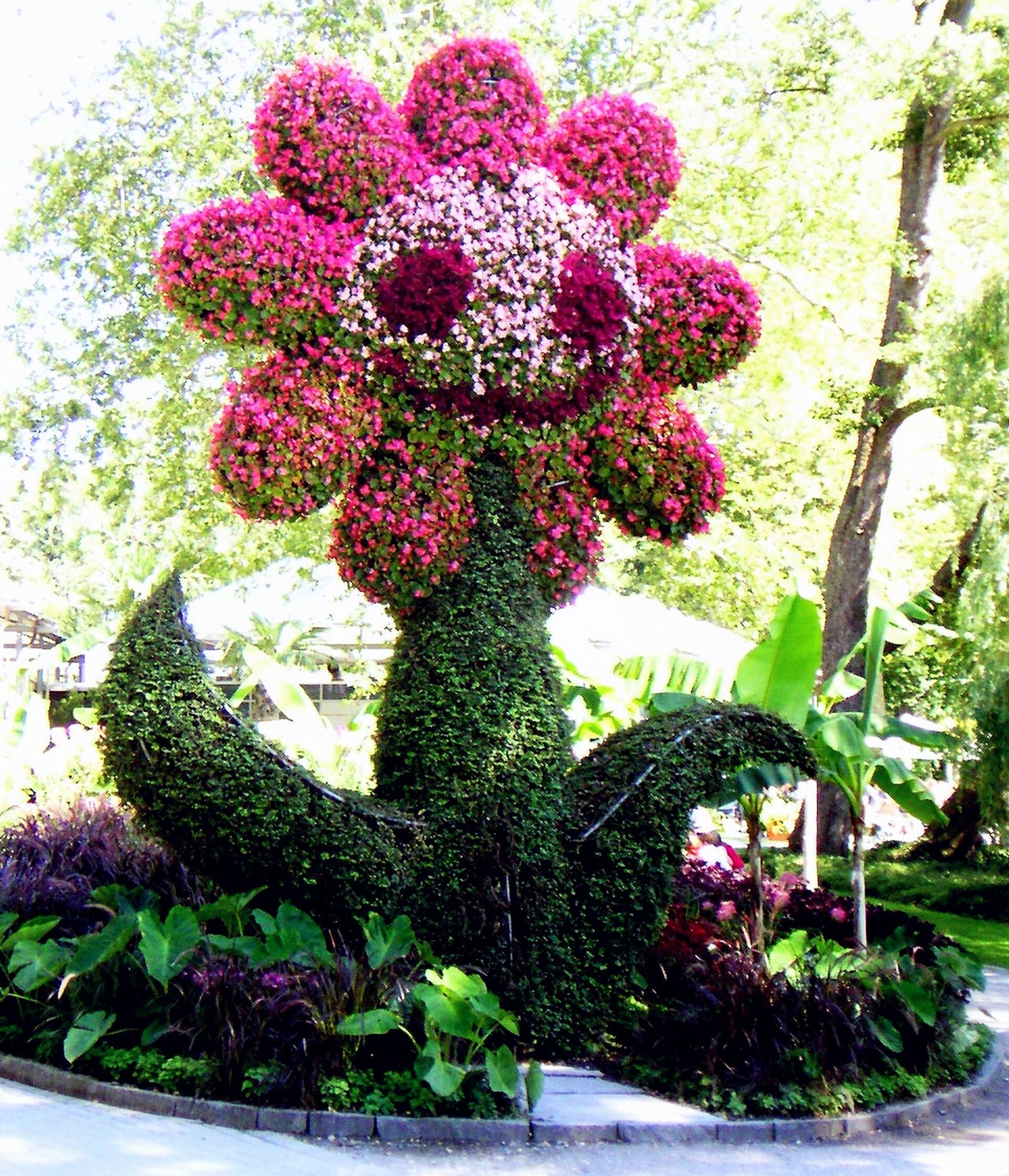 1 Begrüßung durch eine große Blume