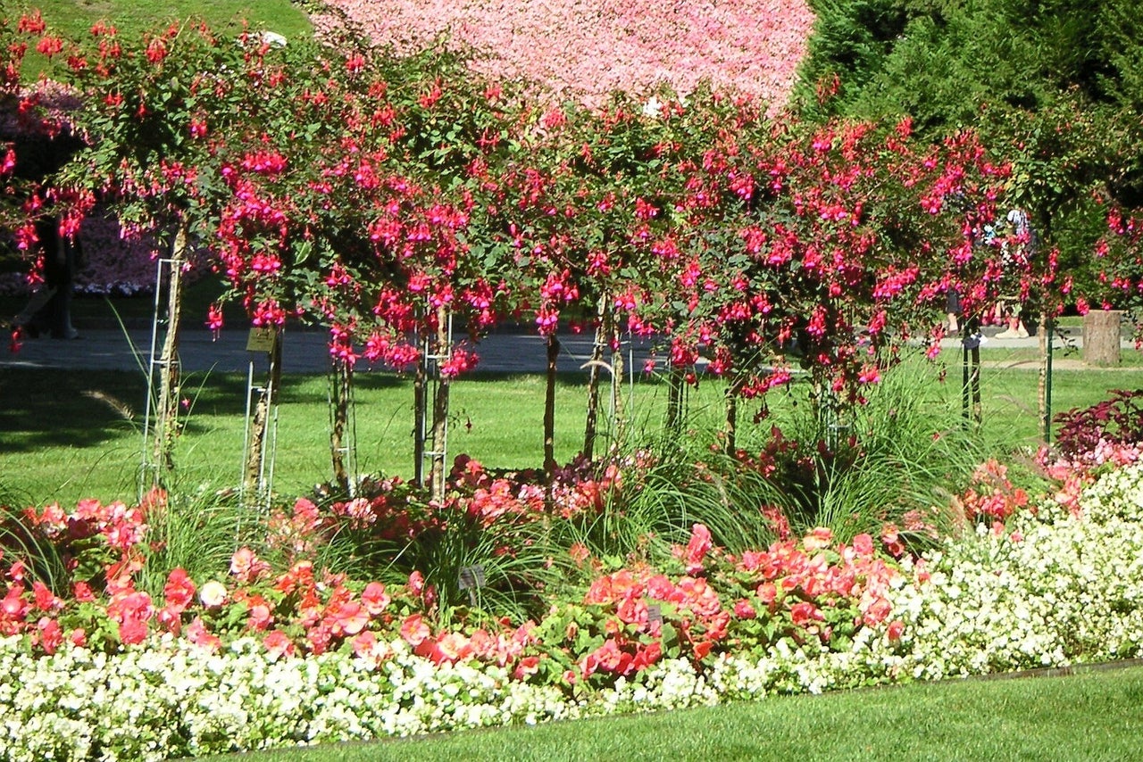 12 Mainau