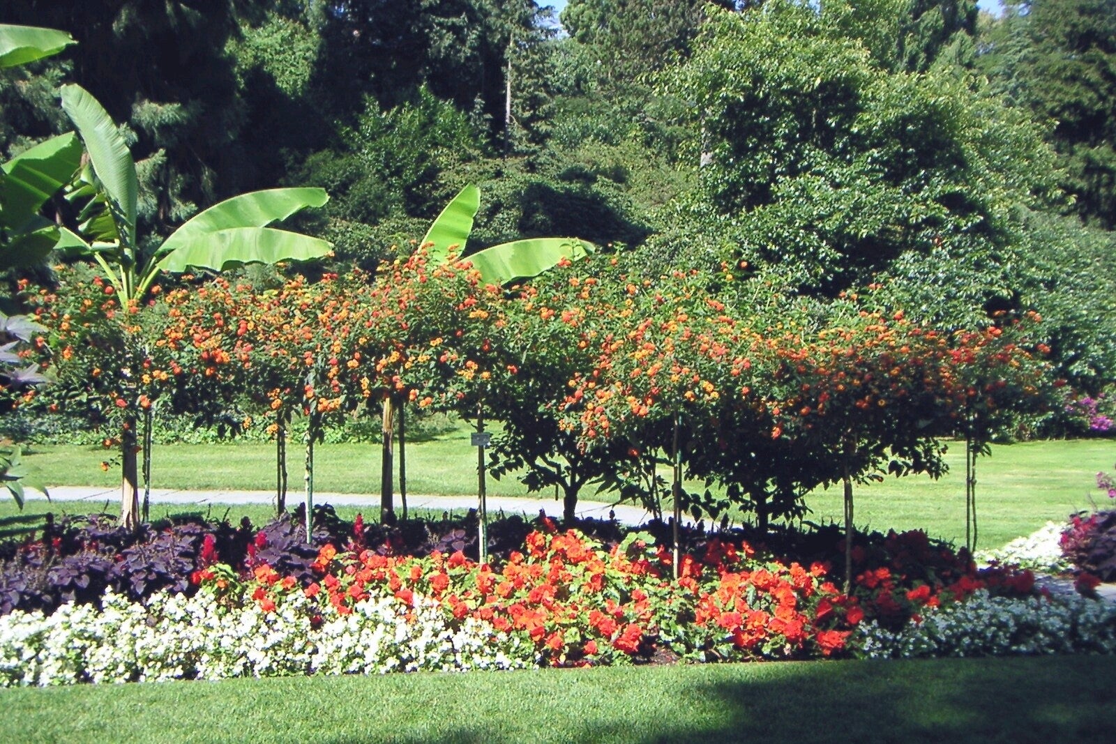 11 Mainau