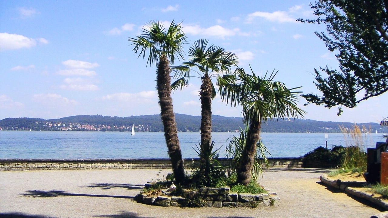 13 Mainau