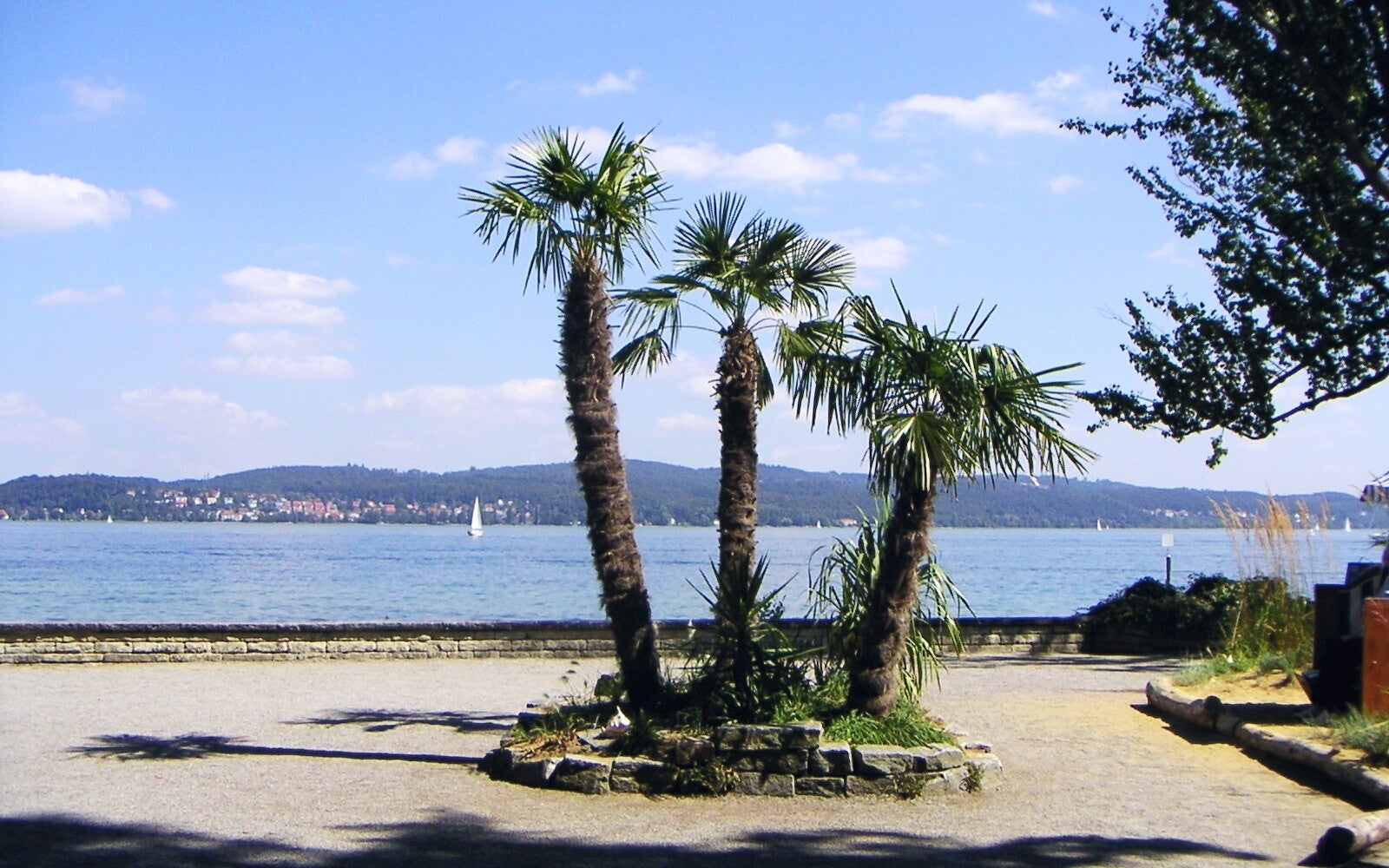 Insel Mainau Bodensee
