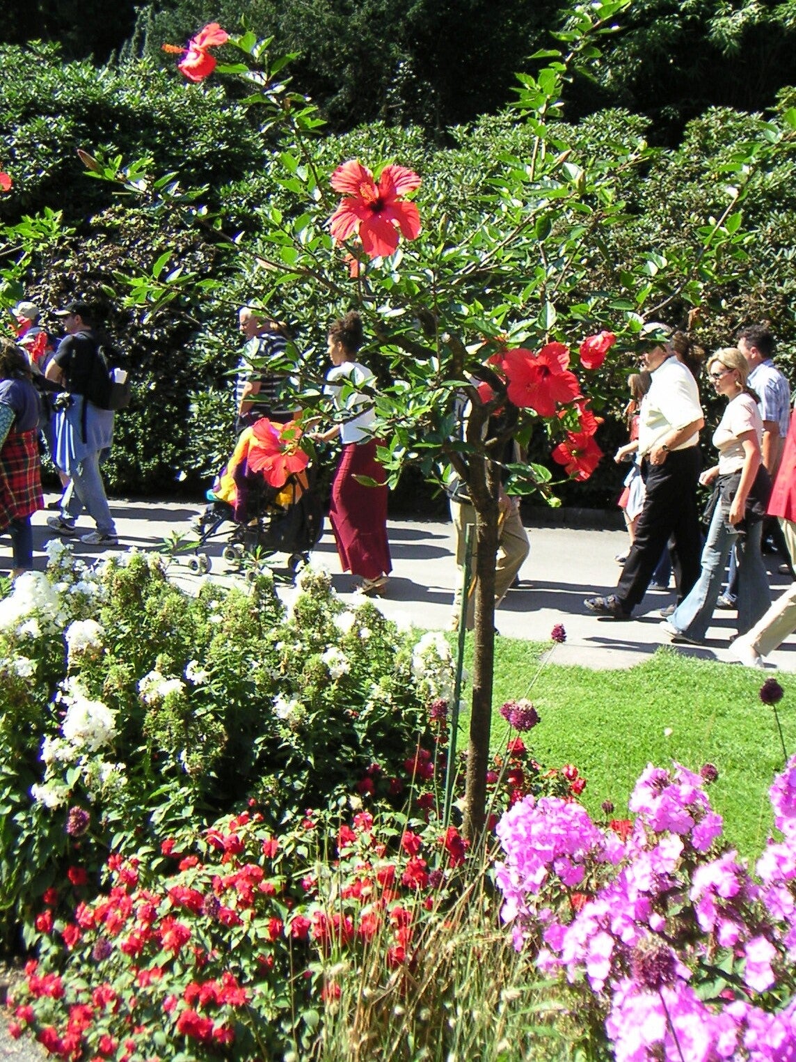 14 Mainau Besucherstau