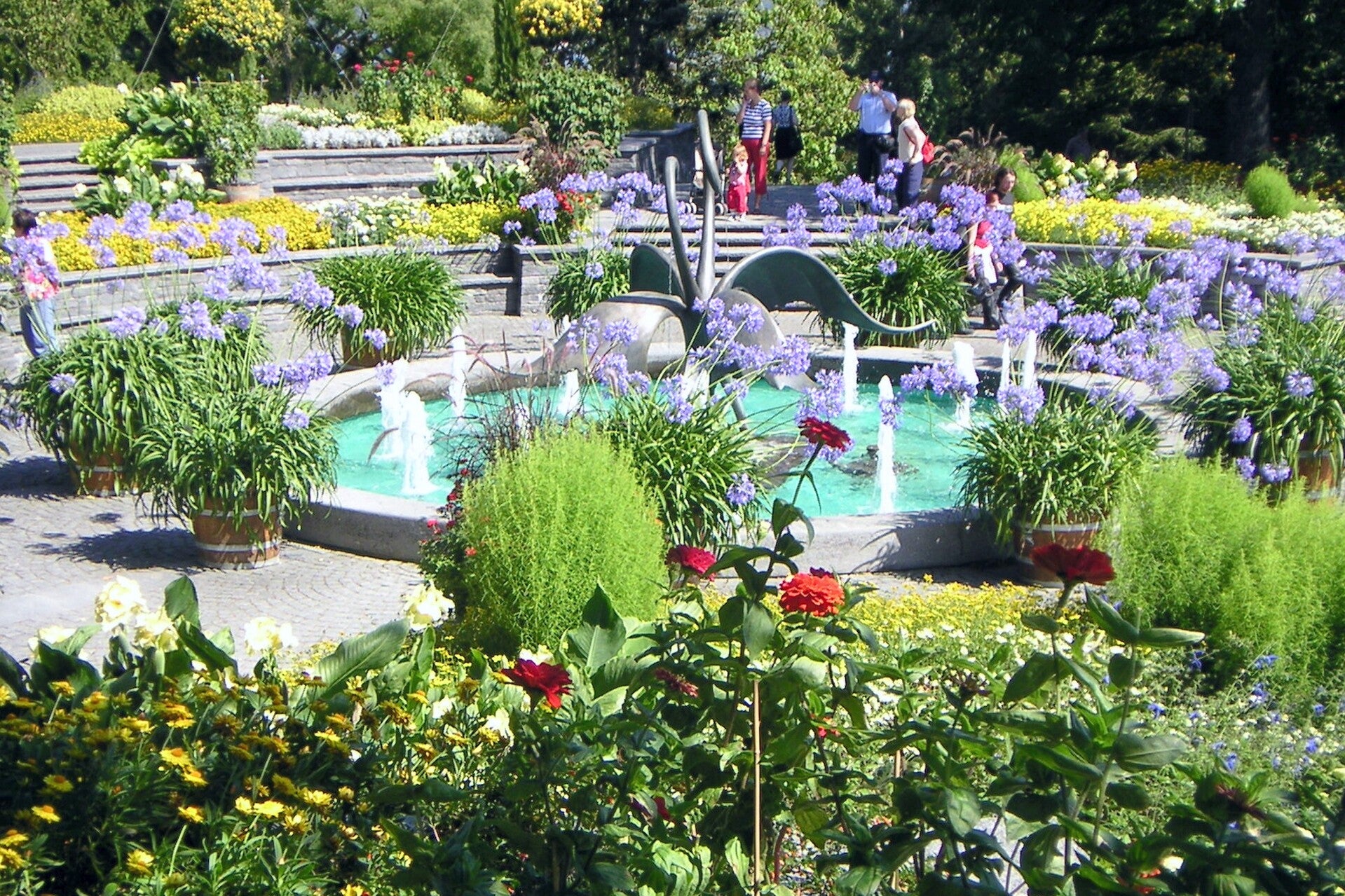 9 Brunnen mit blühenden Büschen in Mainau