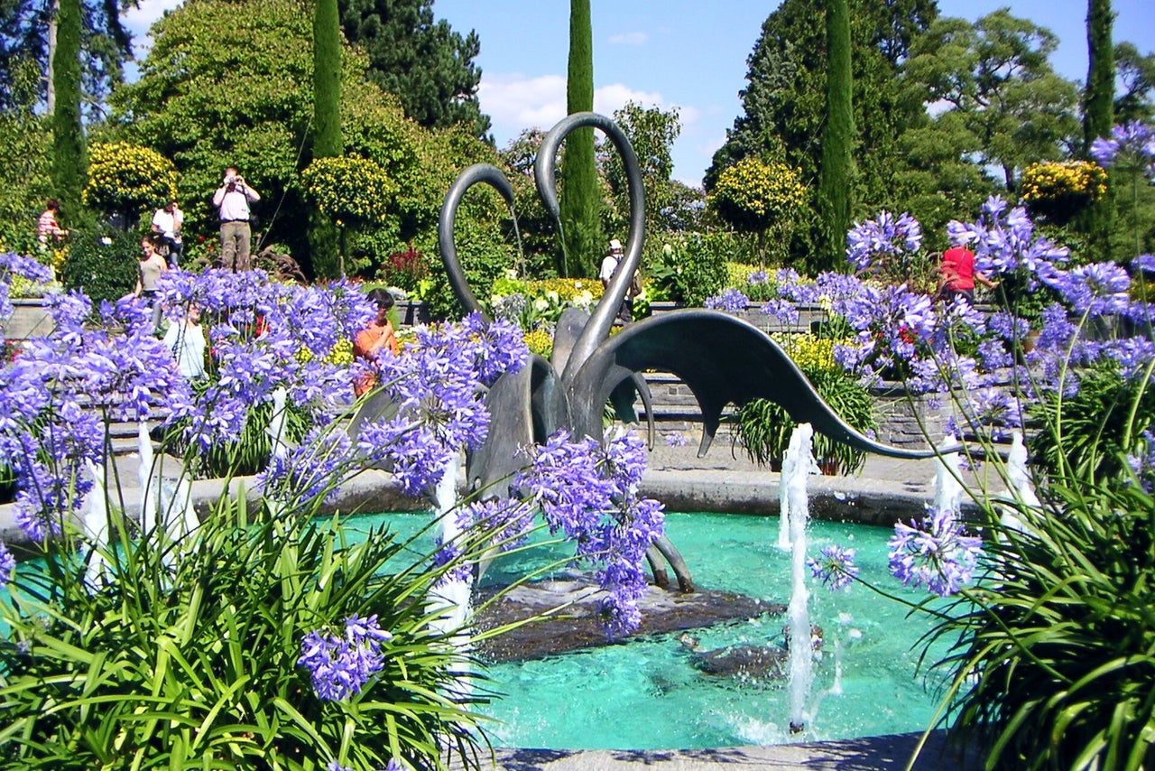 10 Brunnen mit blühenden Büschen in Mainau