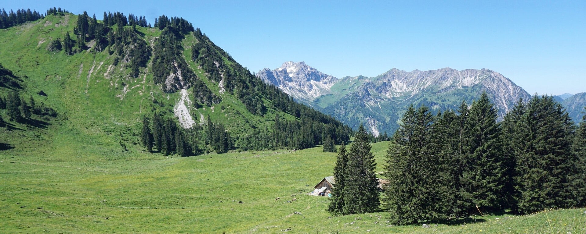 a Willeralpe Blick Daumen Rotspitze Breitenberg