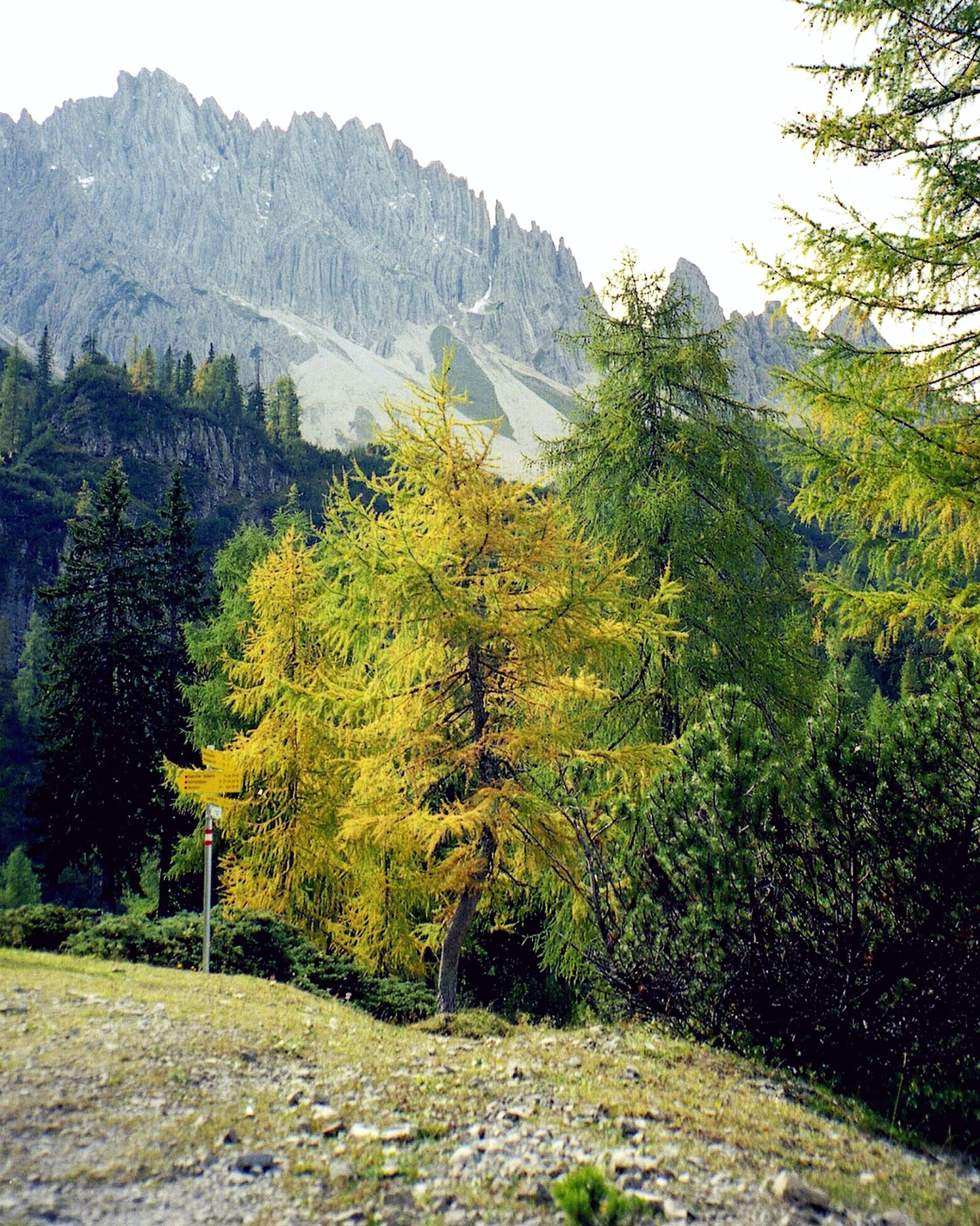 Aufstieg nach der Eppzirler Alm