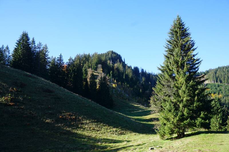 imbergerhorn-181013-_2260-standard-udhnmn.jpg