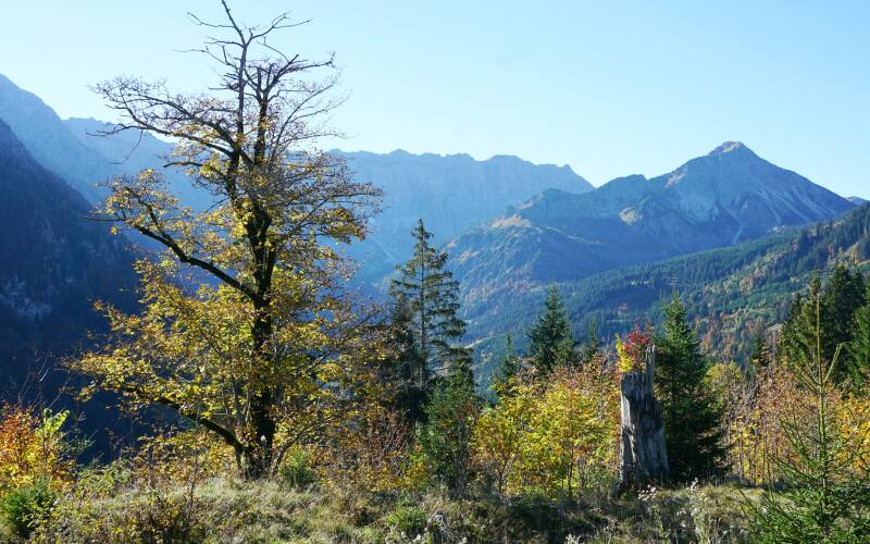 imbergerhorn-181013-_2267-standard-96i0no.jpg