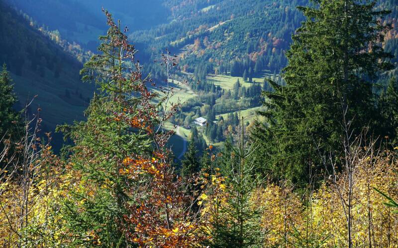 imbergerhorn-181013-_2268-standard-lkd9vx.jpg