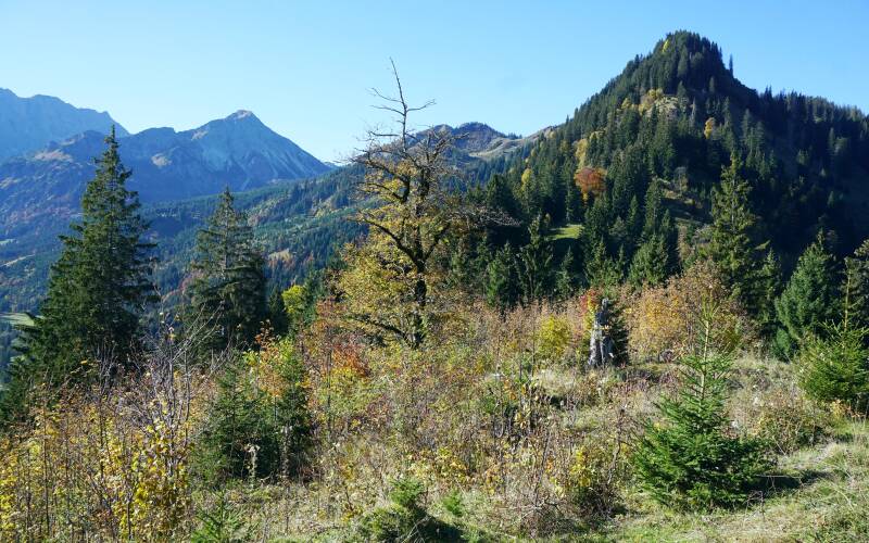 imbergerhorn-181013-_2269-standard-echskf.jpg