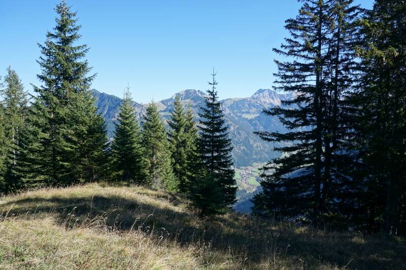 imbergerhorn-181013-_2318-standard-vn7c3t.jpg
