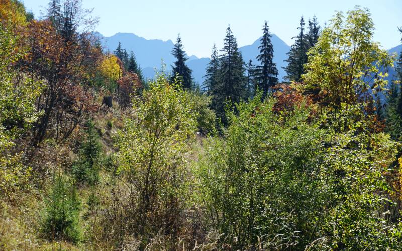 imbergerhorn-181013-_2328-standard-o0975y.jpg
