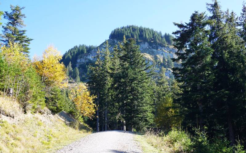 imbergerhorn-181013-_2331-standard-4k7oy0.jpg
