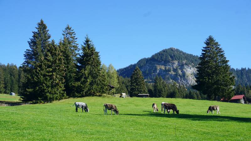 imbergerhorn-181013-_2339-standard-v3okod.jpg