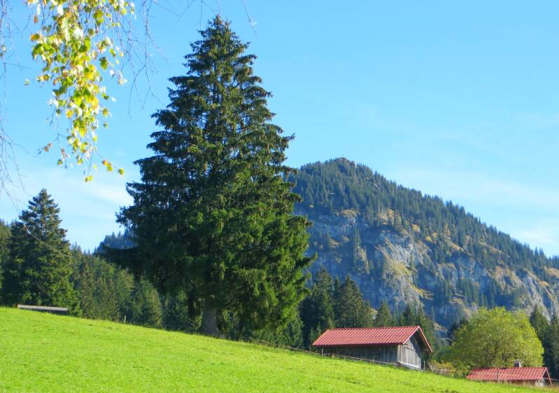 imberghornrunde-141018-_4233-standard-my261d.jpg