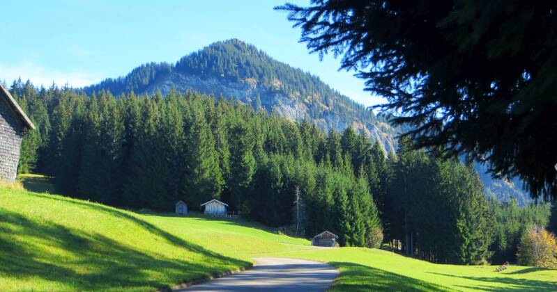 imberghornrunde-141018-_4236-standard-mgpu1t.jpg