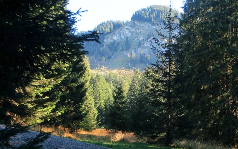 imberghornrunde-141018-_4238-standard-aw9u9q.jpg