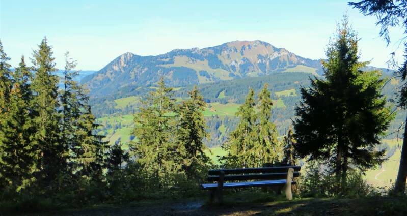 imberghornrunde-141018-_4239-standard-b4qyzw.jpg
